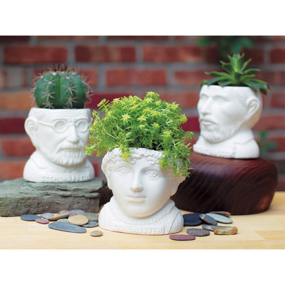 Jane Austen Planter